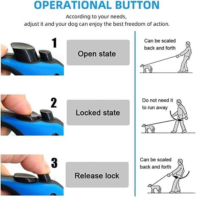 500 cm Dog & Cat Strap Leash (Multicolor) - Pickkart