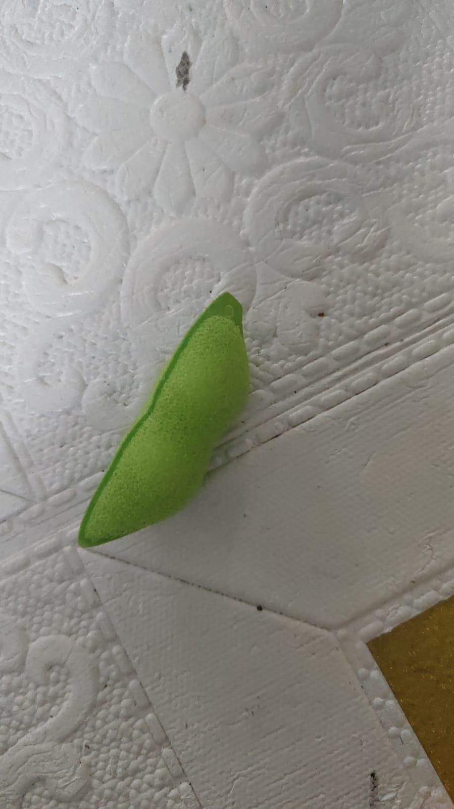 Beans Shaped Bottle Cleaning Sponge Pack of 2 - Pickkart