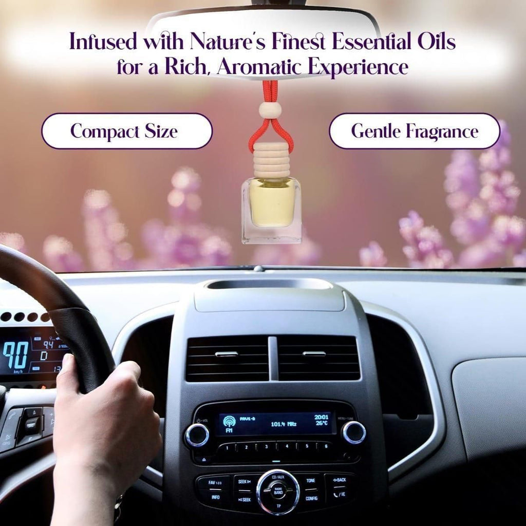 Hanging Car Perfume Pods Diffuser Scent (Assorted Perfume) - Pickkart