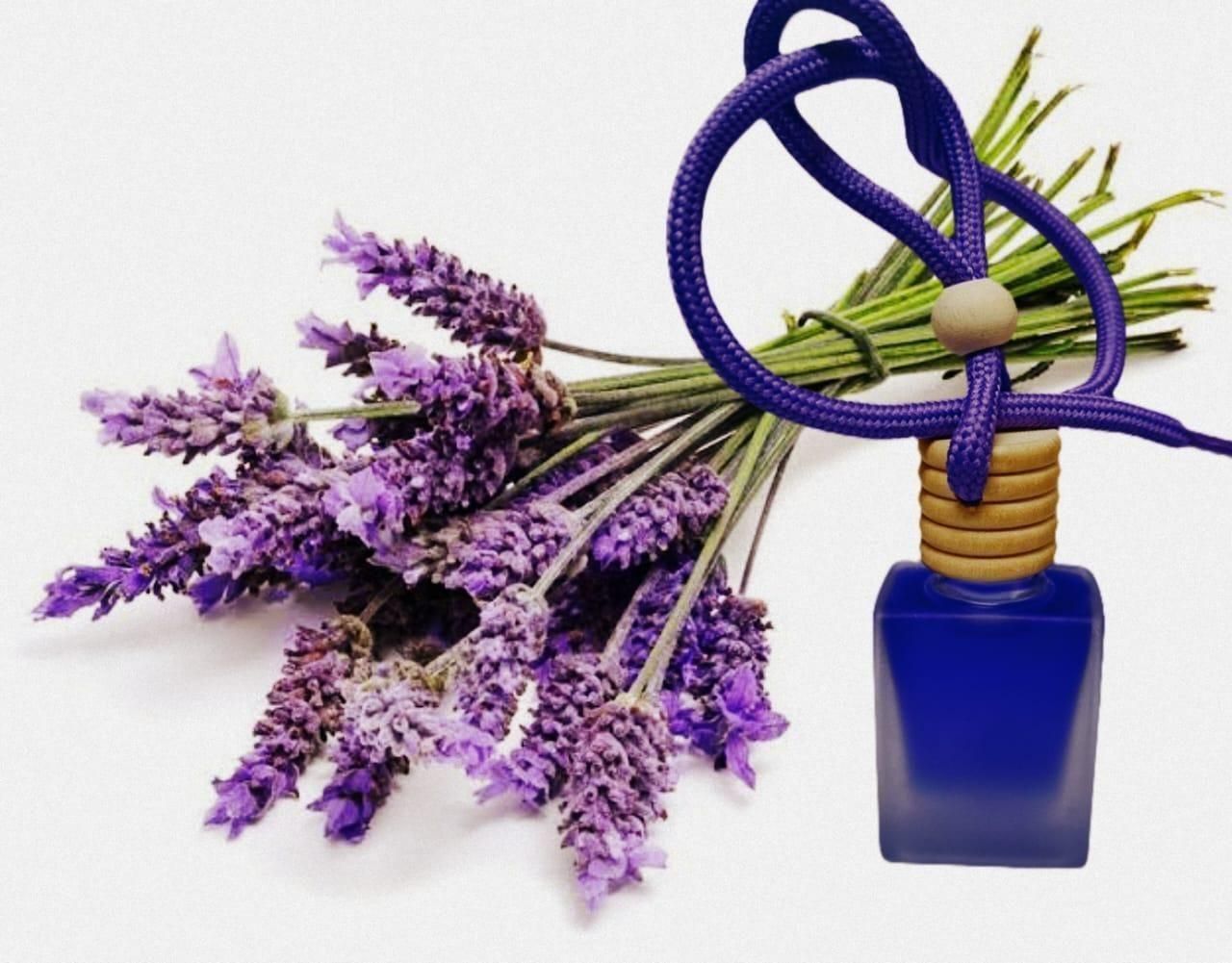 Hanging Car Perfume Pods Diffuser Scent (Assorted Perfume) - Pickkart