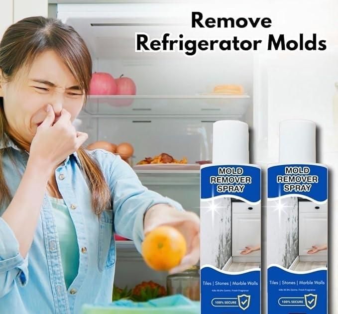 Mold Remover Spray 60ml - Pickkart