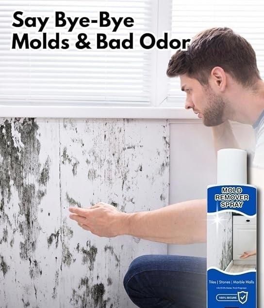 Mold Remover Spray 60ml - Pickkart