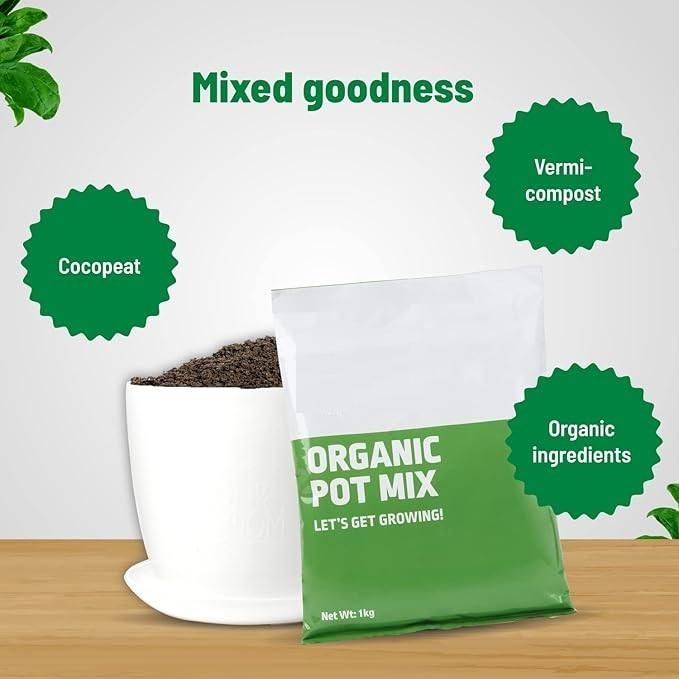 Organic Pot Mix 500gm - Pickkart